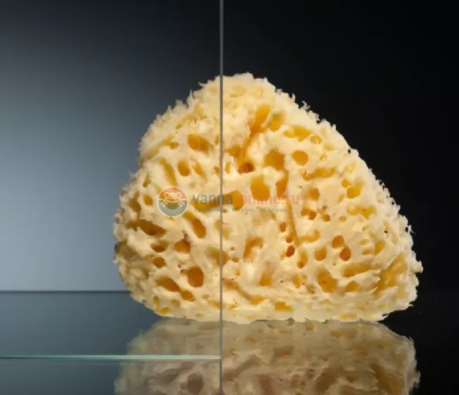 Душевая дверь в нишу Berges Wasserhaus Feda 100, 062004, 100 х 195 см Душевая дверь в нишу Berges Wasserhaus Feda 100, 062004, 100 х 195 см