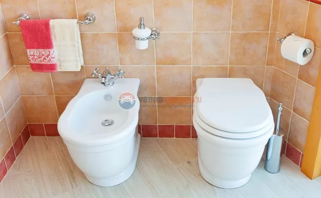 Биде ArtCeram Hermitage HEB001 01;00 напольное Биде ArtCeram Hermitage HEB001 01;00 напольное