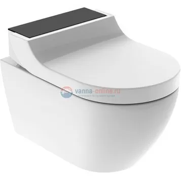 Электронный унитаз Geberit AquaClean Tuma Comfort 146.294.SJ.1 с крышкой-биде, панель черное стекло