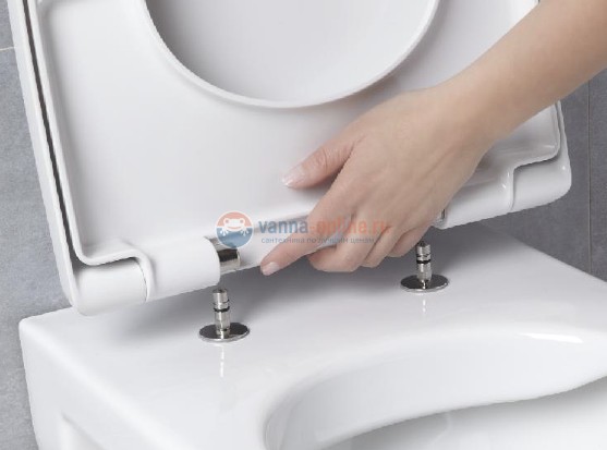 Крышка-сиденье Jacob Delafon Odeon Up Rimove 8407K-00, standart, крепления хром