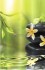 Штора для ванной Iddis Spa Therapy 680P18Ri11