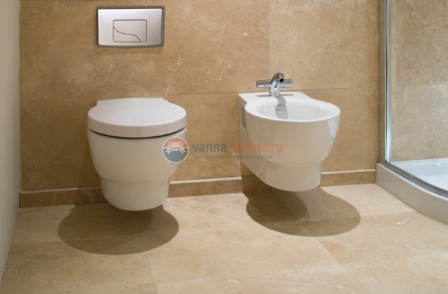 Подвесной унитаз Jacob Delafon Ove E1585-00 в комплекте с сиденьем E70005 SoftClose