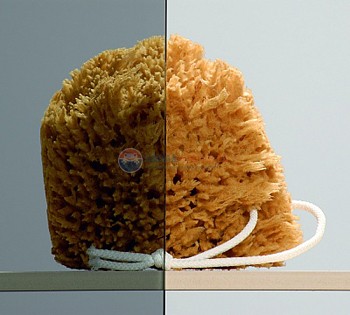 Шторка на ванну Radaway Torrenta PNJ 80 стекло графит L Шторка на ванну Radaway Torrenta PNJ 80 стекло графит L