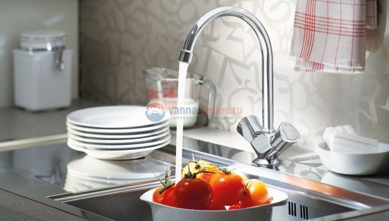 Смеситель Grohe Costa L 31812 001 для кухни с цепочкой