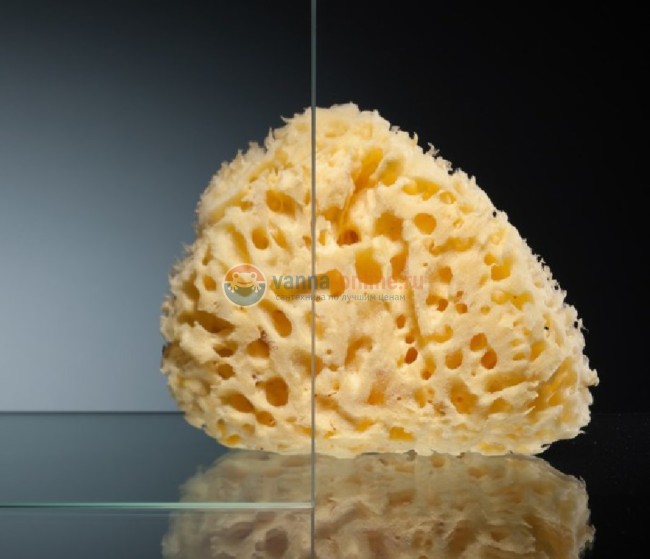 Душевой уголок Berges Wasserhaus Gelios 061001, 120 х 80 х 195 см, стекло прозрачное