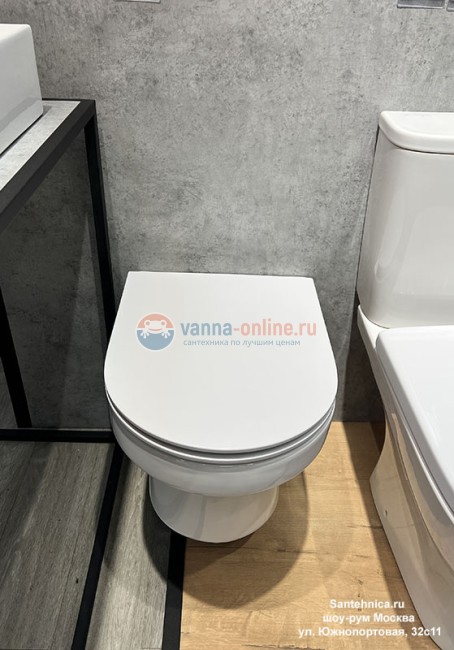 Унитаз подвесной Jacob Delafon Elite EDX114RU-00, безободковый c тонким сиденьем с микролифтом