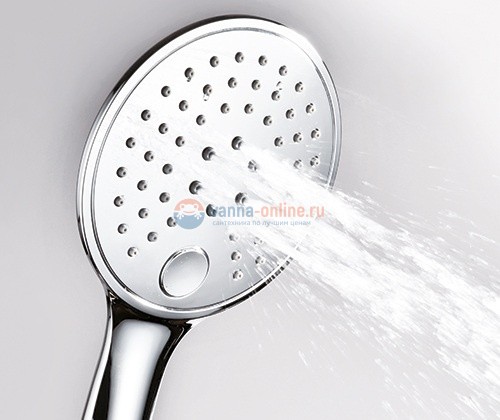 Душевая лейка WasserKRAFT А060