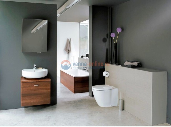 Раковина 45 см Ideal Standard CONNECT E796801 Раковина 45 см Ideal Standard CONNECT E796801