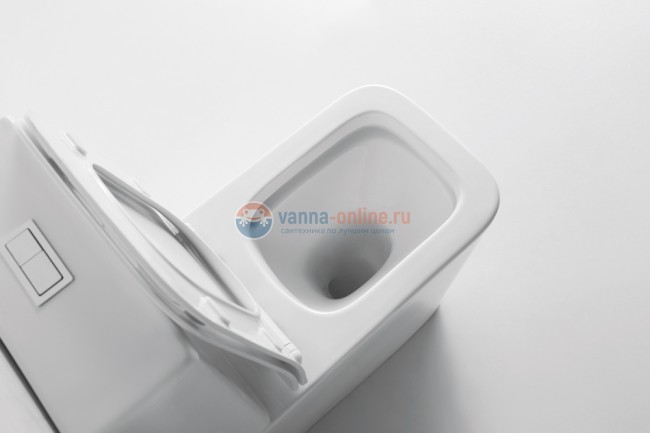 Напольный унитаз Ceramalux NS 2170 крышка микролифт