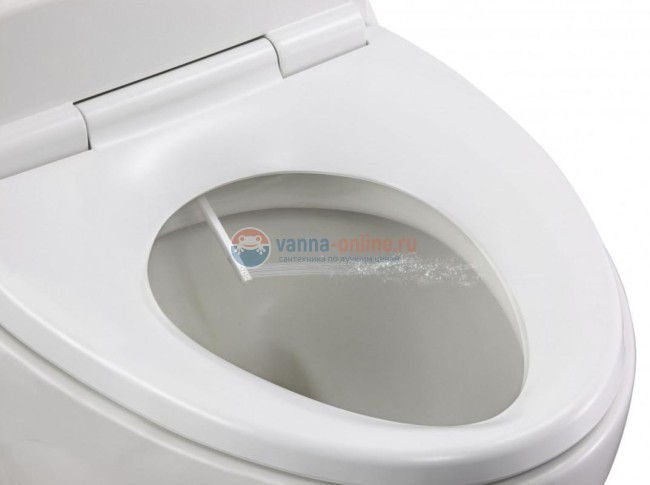 Крышка-биде для унитаза Jacob Delafon 45559NK-0 с микролифтом