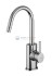 Смеситель Paffoni Berry BR078CR для раковины, с поворотным изливом, без донного клапана, цвет хром