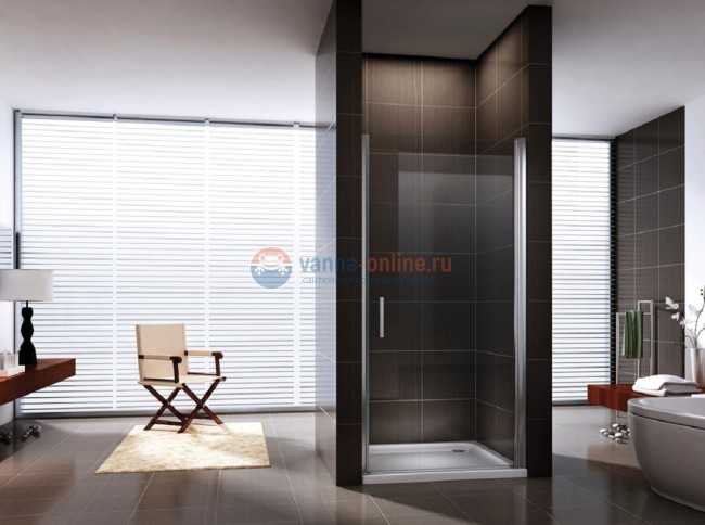 Душевая дверь в нишу Berges Wasserhaus Talia 80, 062006, 80 х 195 см